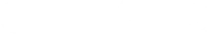 SkyeRV logo