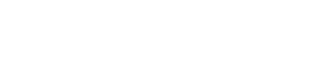 Salute logo
